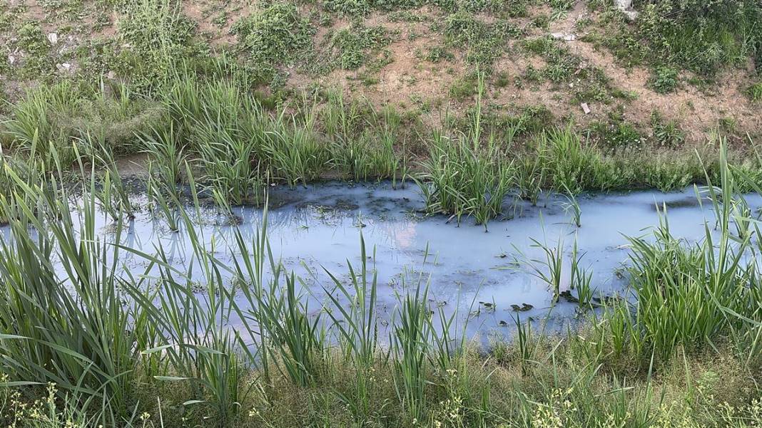 İstanbul'un o mahallesinde büyük panik! Korkunç manzarayı gören istifra etmeye başladı! 9
